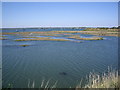 Over the Saltmarsh at high tide.