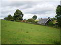 Bryn-derwen from the fields to the west