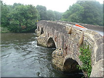 SS9307 : Bickleigh : River Exe & Bickleigh Bridge by Lewis Clarke