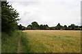 Culham in the distance