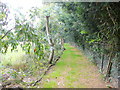 Footpath to Almodington