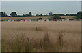 Farm near Wattisham