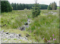 Nant y Garn, Ceredigion