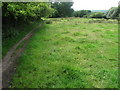 Footpath near Reddish Farm