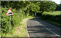 Henfold Lane - Steep Hill 17%