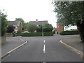 Looking from a spur into the main Woodlands Avenue