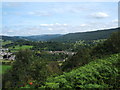 Calver from Bramley Wood