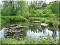 Upper Clatford - Sluice