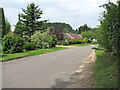 Bungalows in Church Close