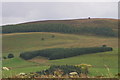 North slopes of Balduff Hill from above Little Kilry