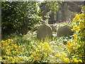 Former St Georges Church, Sowerby Bridge, Graveyard