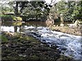 Weir on the River Coquet