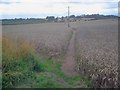 Public footpath to Derby Hills House Farm