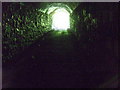 Scoveston fort: entrance tunnel