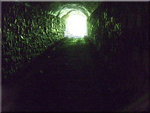 SM9406 : Scoveston fort: entrance tunnel by Natasha Ceridwen de Chroustchoff