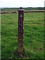 Scoveston fort: iron boltplate