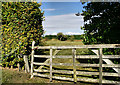 Farmland east of Tanners Lane