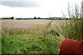 The Yorkshire Wolds and Wilberforce Ways at Market Weighton