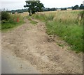 Farm track from the road