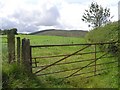 Rylands Townland