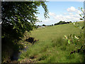 Stream with Cathal Farm in background