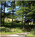 Road to Brynllwyd Farm