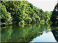 Lake at Ruskin Mill College, Nailsworth