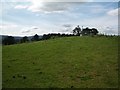 Pasture land, surmounted by dining arrangements