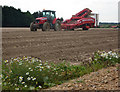 Harvested field