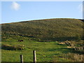 Grazing land at Hey Garners Farm