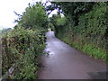 Balls Farm Road looking west