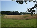 View over the fields over to the Chocolate box cottage