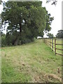 View of Footpath to Wervin Road