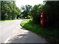 Pamphill: phone box at Hillbutts