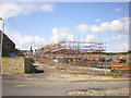 new housing on the corner of Munby Street and York Street