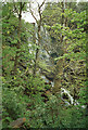 Waterfall in woodland south of Tobermory, Mull