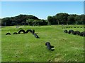 Playing Field, Berrow