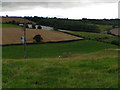 Electrified fields near Eastacott