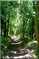 Footpath towards Wellground Farm