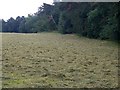 Hay making, Ogbourne Maizey