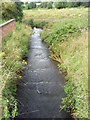 Tumbling weir tailrace, Ottery St Mary