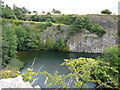 Harmby Quarry