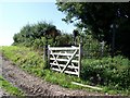 Gate and footpath, Cuckhold