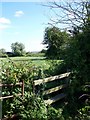 Footpath, Bulkington