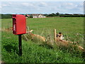 Stalbridge: postbox № DT10 129, Kings Mill Road