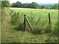 Footpath junction near Gedges Farm