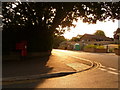 Parkstone: corner of Danecourt Road and Fernside Avenue