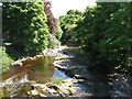 Killhope Burn upstream of Westfall  Bridge