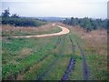 High-level path at Bestwood Country Park - 1