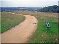 High-level path at Bestwood Country Park - 2